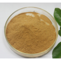 Extracto de Epimedium Sagittatum de gran calidad con Icariin 40%